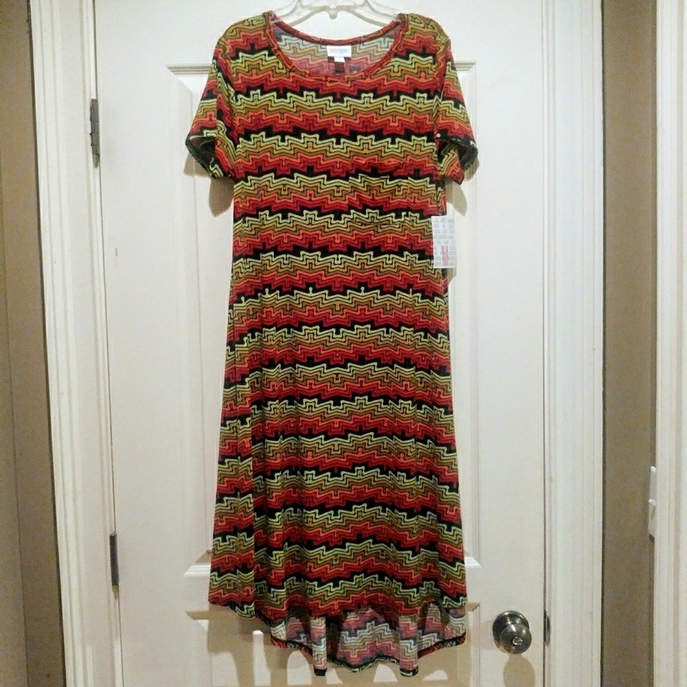 New Vibrant LuLaRoe Carly Swing Dress! M
